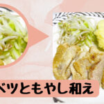 キャベツ　もやし　野菜　キャベツともやし和え